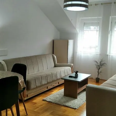 Ristic 6 Апартаменты Сокобаня