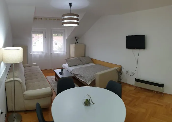 Ristic 6 소코 반자